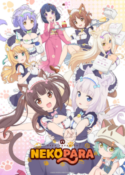 Nekopara ตอนที่ 6 ซับไทย