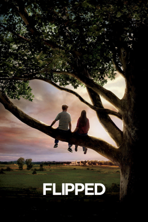 Flipped (2010) หวานนักวันรักแรก