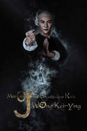 Master Of The Shadowless Kick Wong Kei Ying (2017)