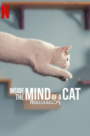 Inside the Mind of a Cat (2022) คิดแบบแมวๆ