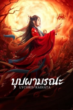 Lycoris Radiata (2022) บุปผามรณะ