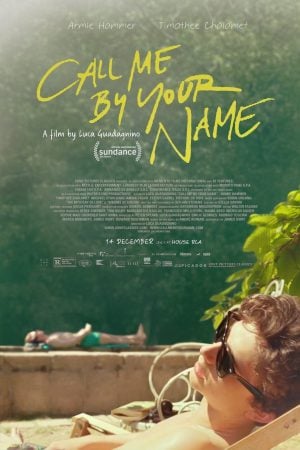 Call Me by Your Name (2017) เอ่ยชื่อคือคำรัก
